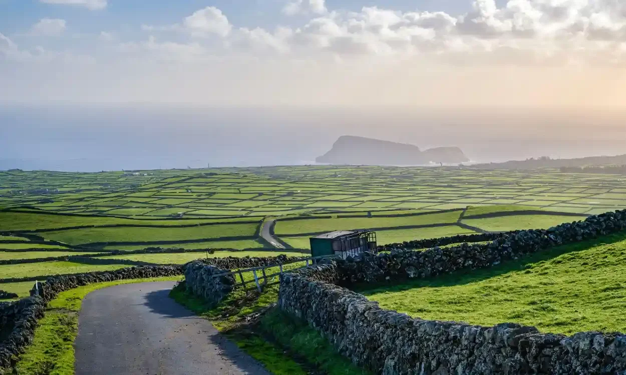 Scenic countryside view with a winding paved road, green grassy fields divided by stone walls, and an island in the distance under a partly cloudy sky during sunset.