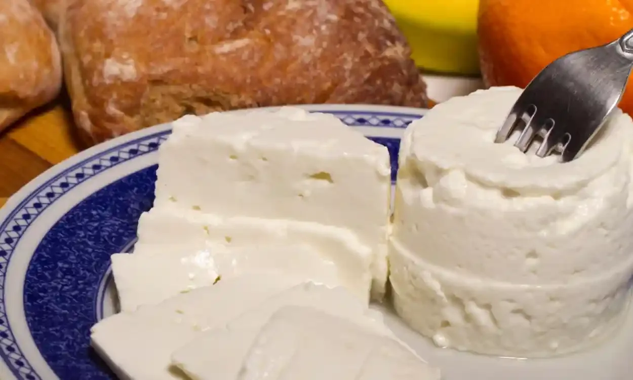 Breakfast - white, soft cheese and bread