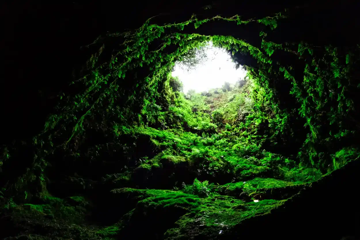 Algar do Carvao lava tube on Terceira Island