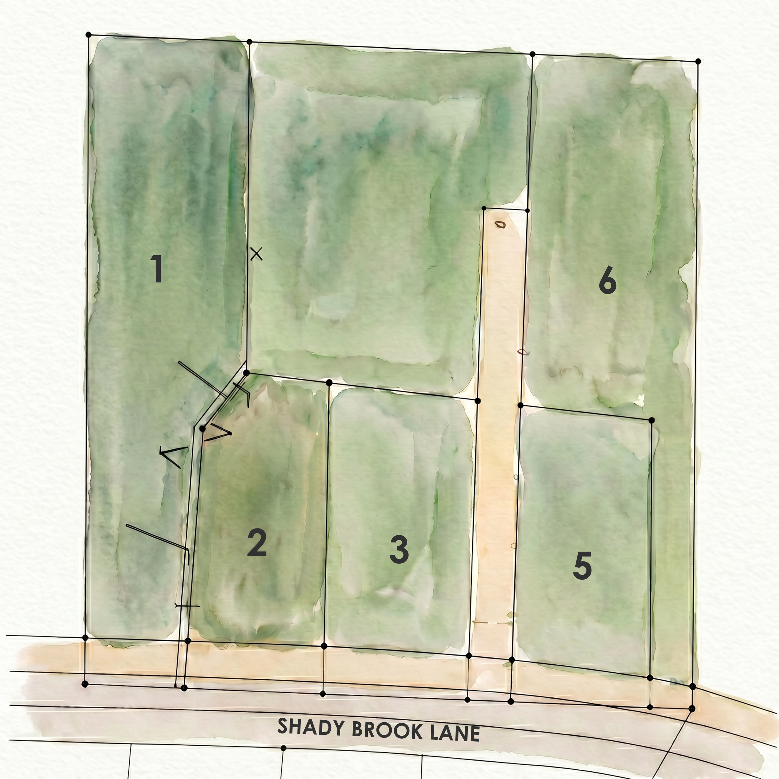 Shady Brook Lane