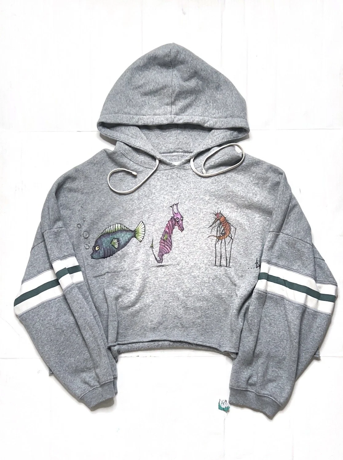 Mother of Pearl... Large Crop