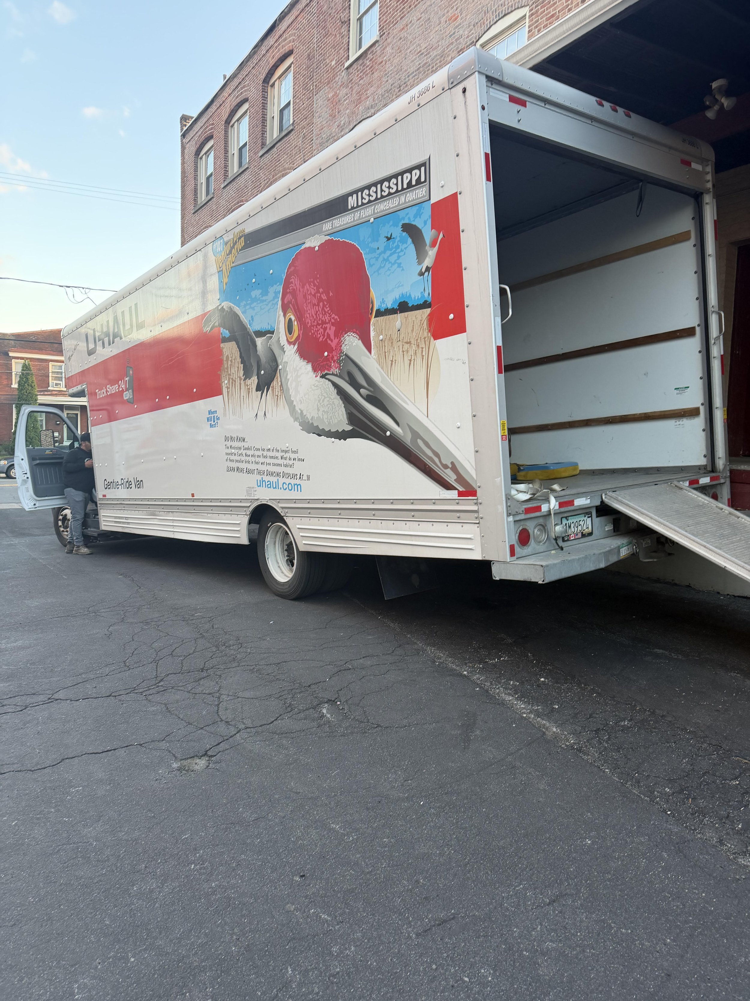 U-Haul moving truck with artwork of a bird's head, standing on grass with a wooden building in the background.