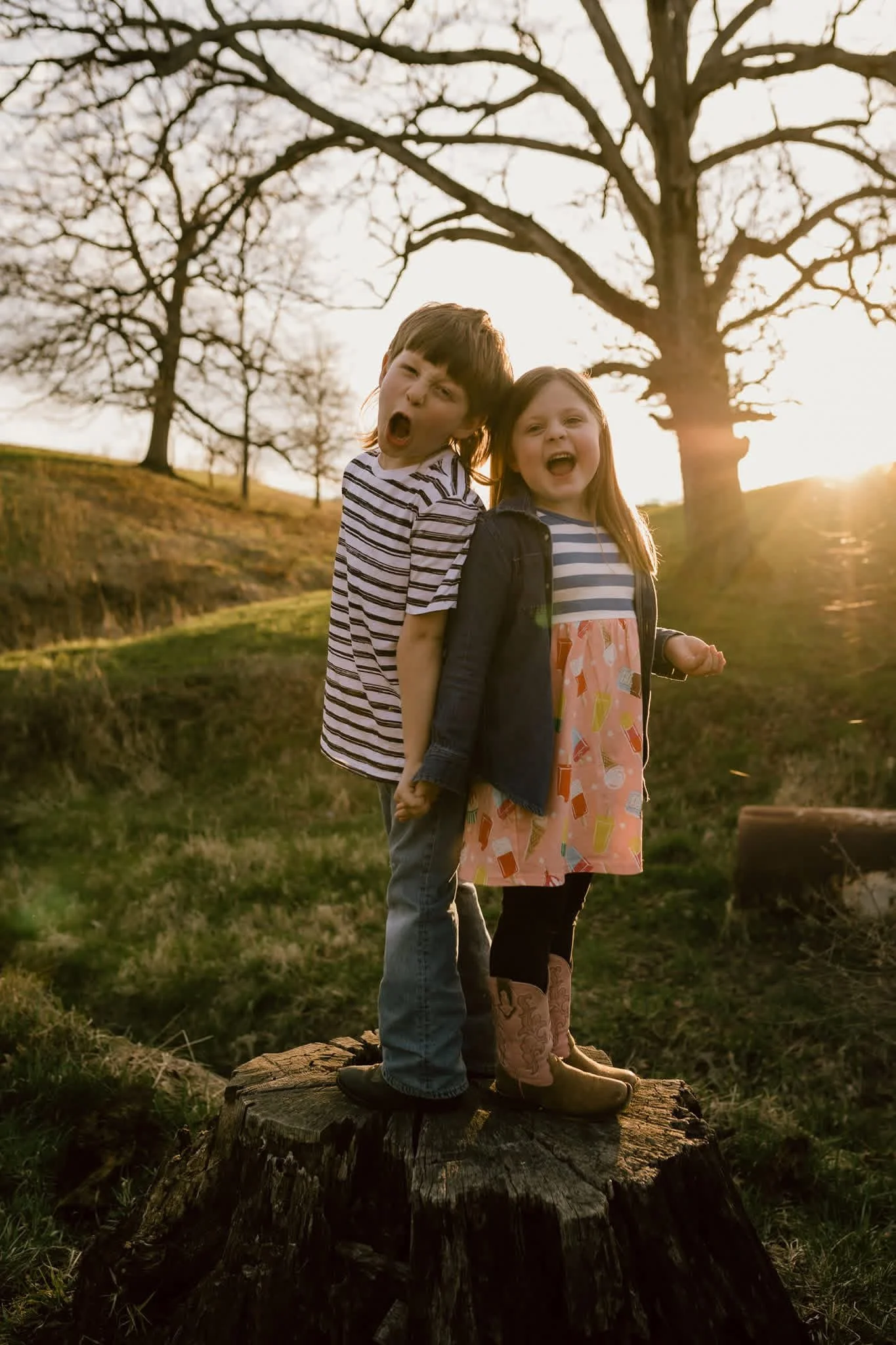 Two children, a boy and a girl, are standing on a tree stump outdoors during sunset, making playful faces. They are dressed casually, with the boy in a striped shirt and jeans, and the girl in a patterned dress and a jacket, in front of a background of leafless trees and a grassy field.