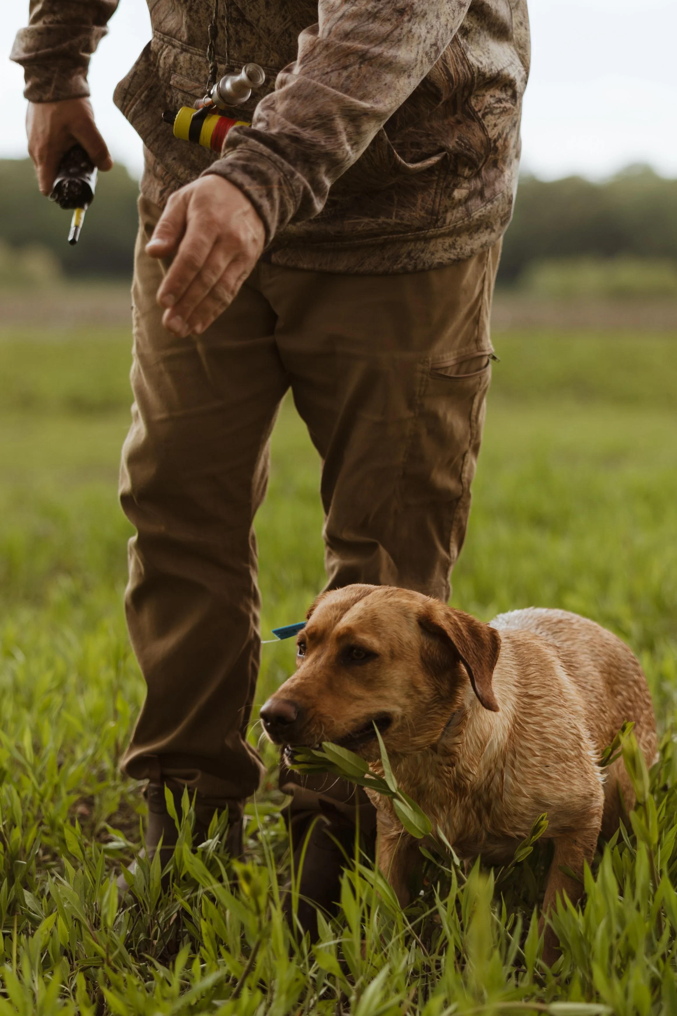 A person dressed in camouflage clothing standing in a grassy field with a brown dog chewing on grass. The person is holding a tool in one hand, and there is a yellow and red canister hanging off their shoulder.