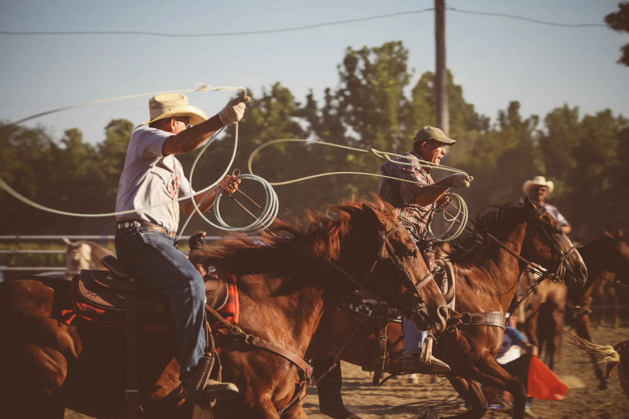 Three cowboys wearing hats and plaid shirts riding horses during a rodeo event, with one cowboy swinging a lasso in the air.