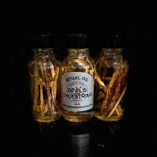 30ml bottle of Devil’s Shoestring herbal maceration infused in fractionated coconut oil by Aureum Terra Herbarium, single herb ritual oil