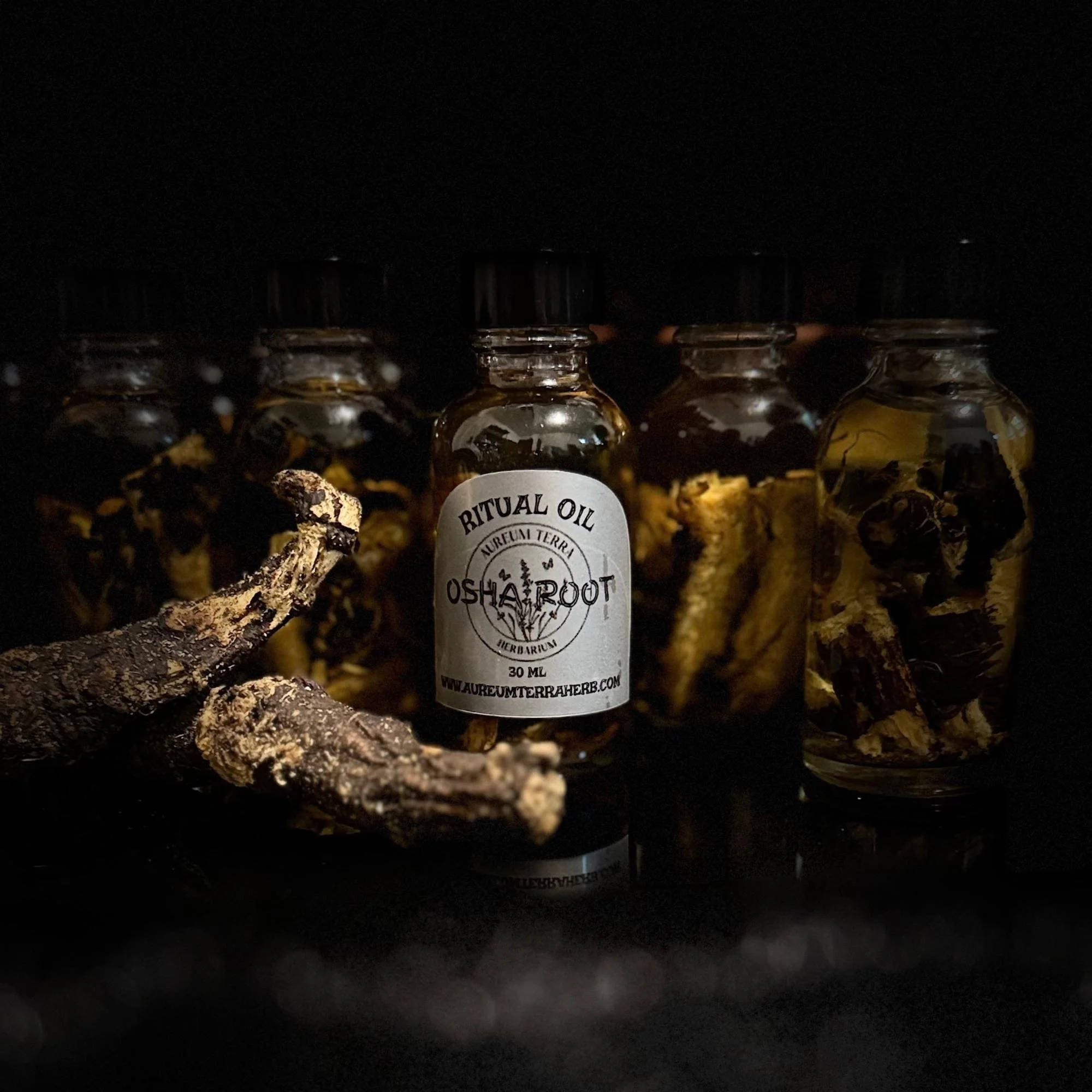 30ml bottle of Osha Root herbal maceration infused in fractionated coconut oil by Aureum Terra Herbarium, single-herb oil infusion in refillable glass bottle
