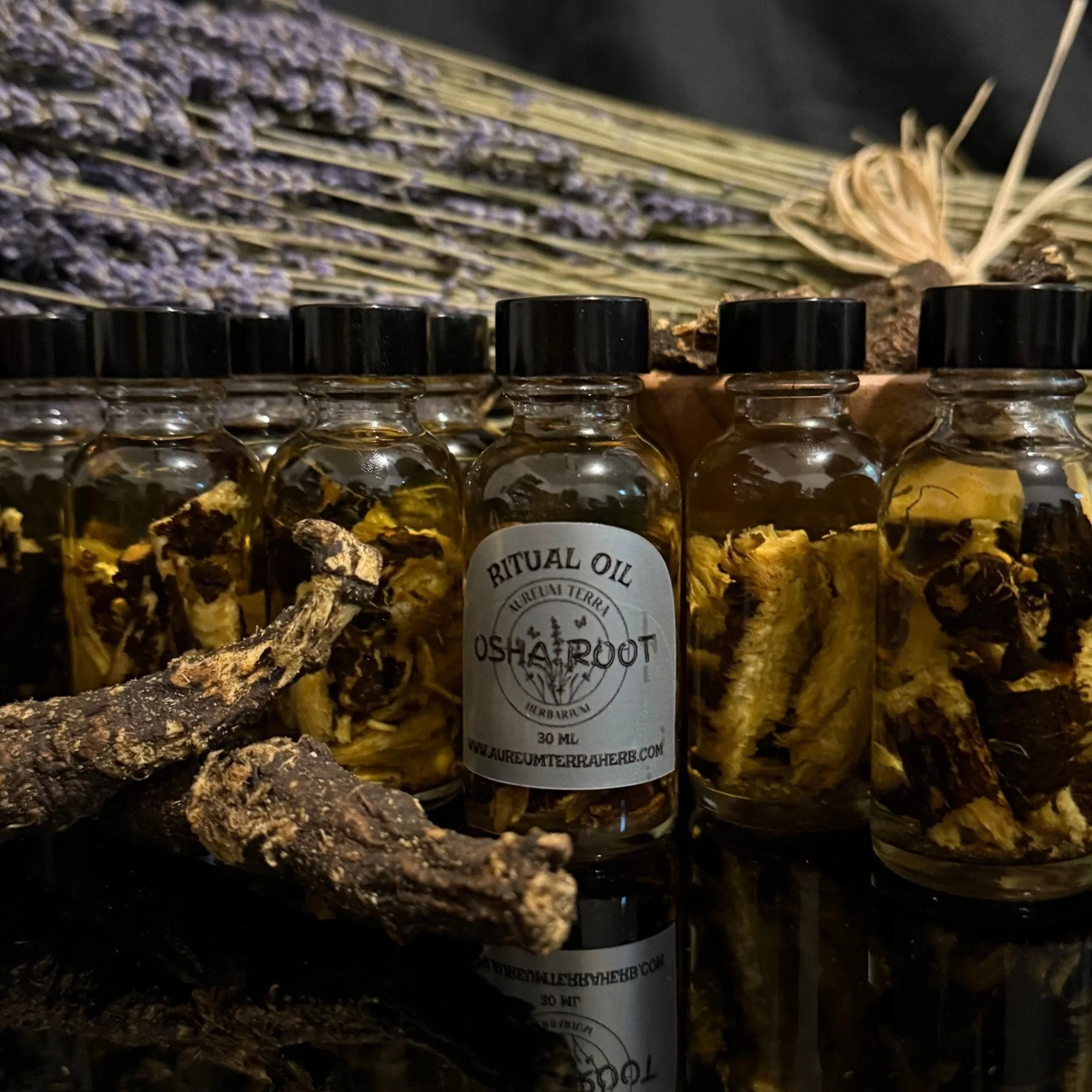 30ml bottle of Osha Root herbal maceration infused in fractionated coconut oil by Aureum Terra Herbarium, single-herb oil infusion in refillable glass bottle