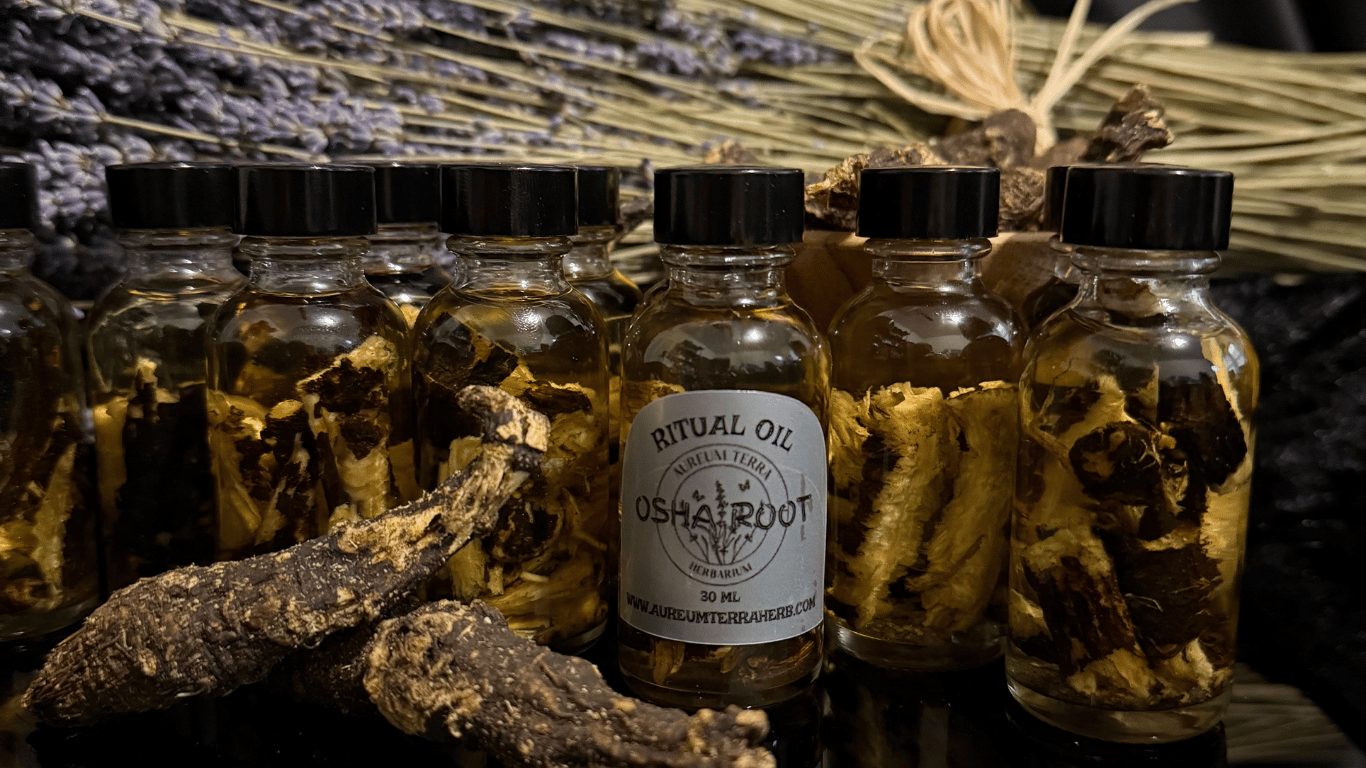 Several glass bottles labeled 'Ritual Oil Osharoot' filled with dried roots and herbs, with dried roots and herbs scattered around, set against a background of lavender and dried herbs.