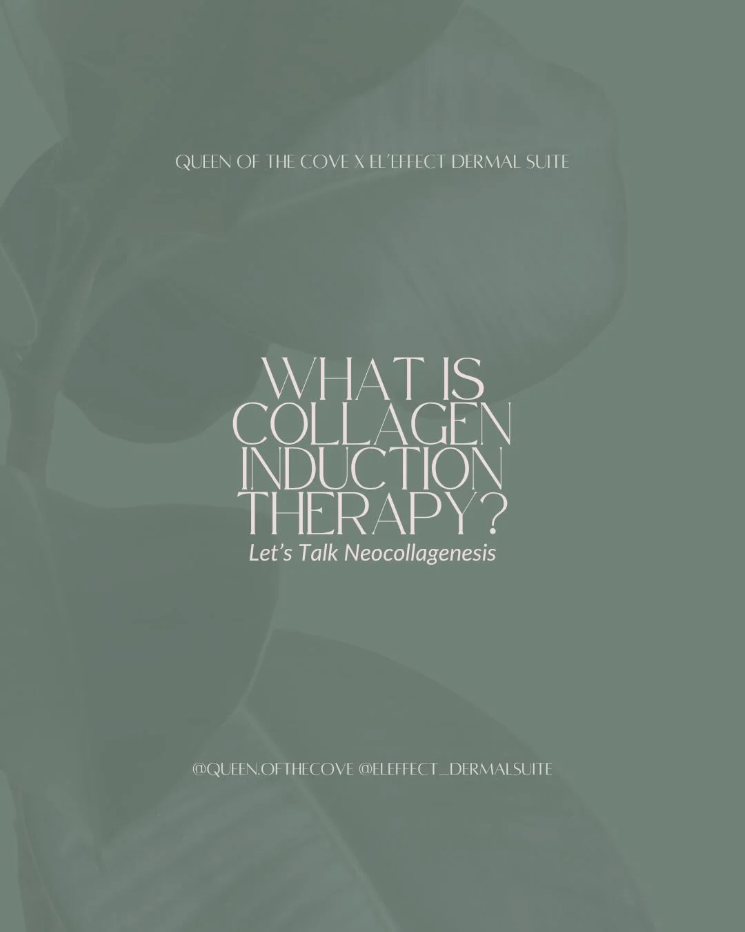 ✨ What if your skin could heal itself into a stronger, smoother, more radiant version?

Collagen Induction Therapy (skin needling) is where science meets regeneration. By creating controlled micro-injuries within the skin, we stimulate your body&rsqu