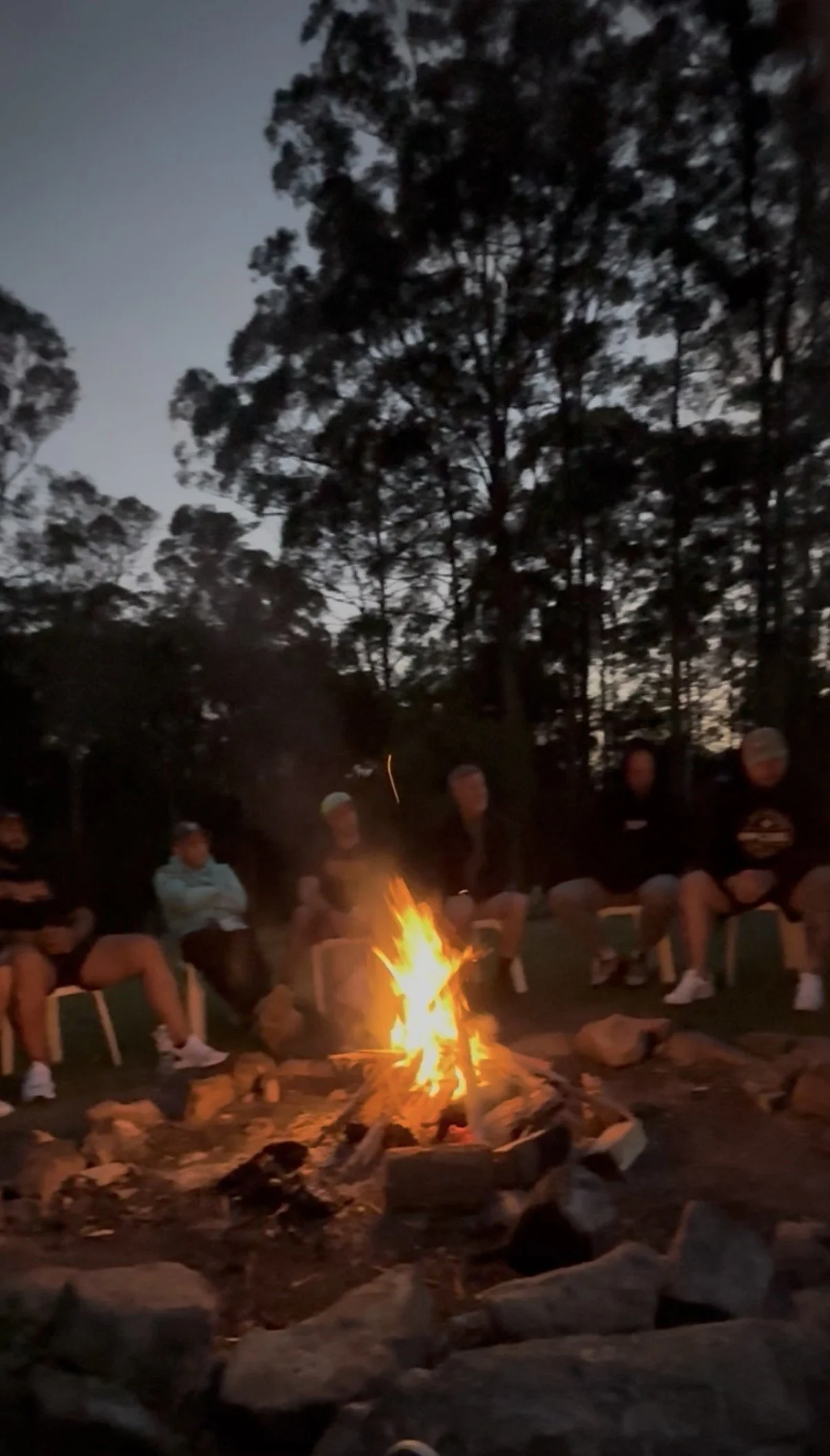 People sitting around a campfire outdoors in a wooded area during the evening or night.