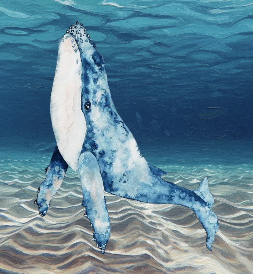 Watercolour: Whales