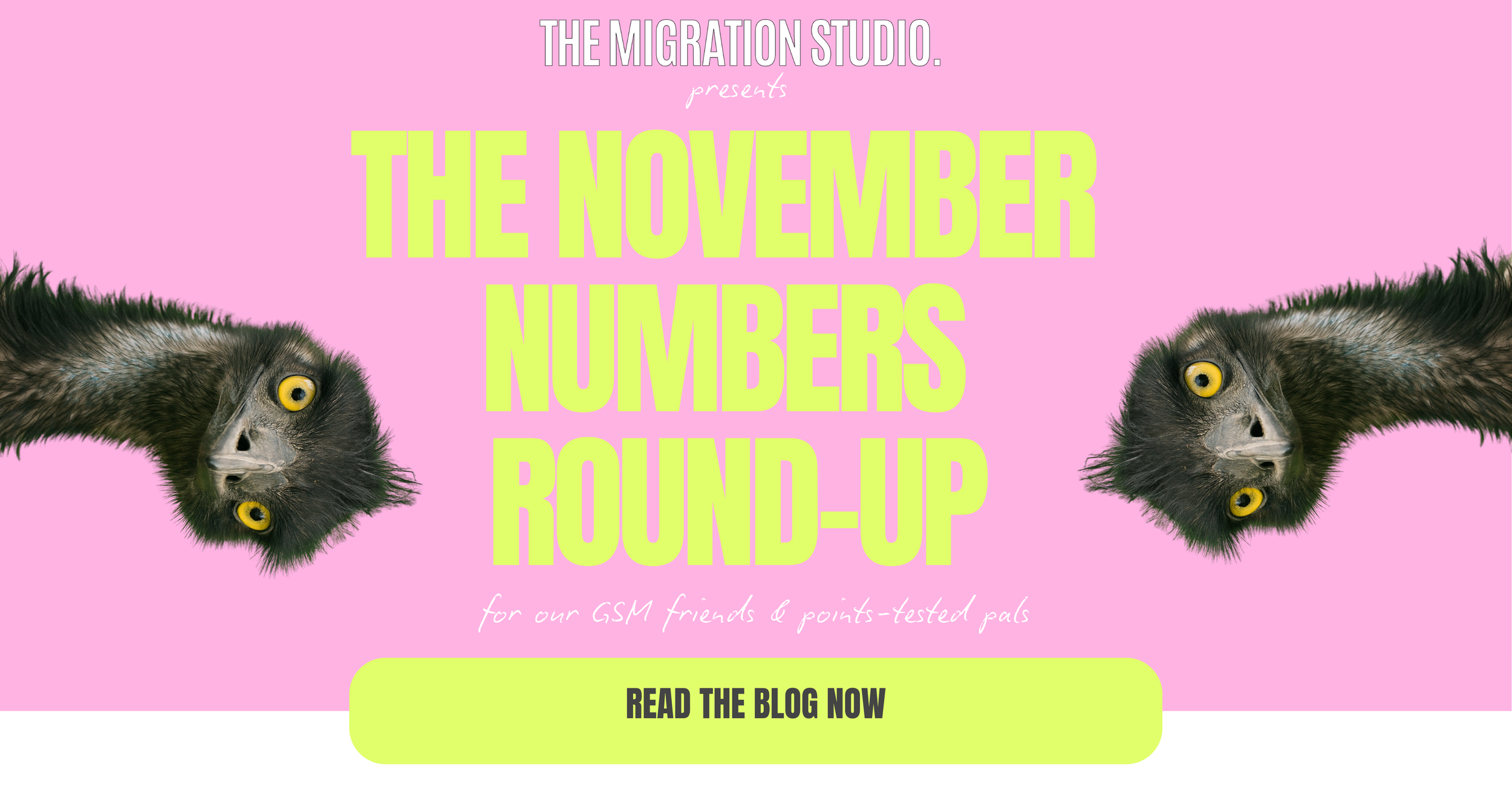 THE NOVEMBER ROUND-UP