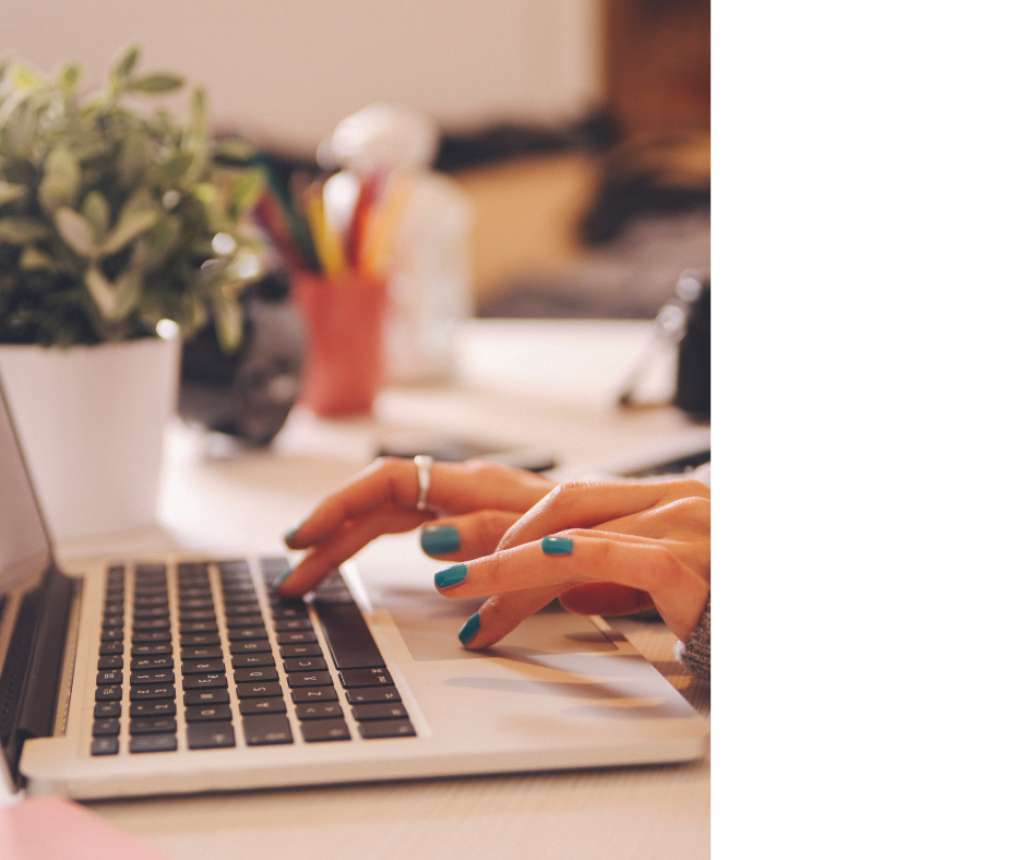 Close-up of a person's hands typing on a laptop keyboard on a desk with a potted plant, a container with pens and markers, and other office supplies in the background.
