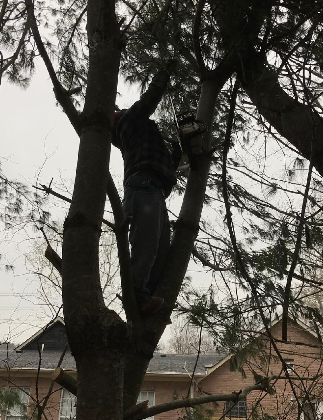 Screenshot 2025-11-13 at 7.24.54 PM.png