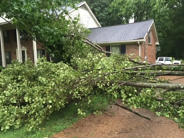 stormdamage3.jpeg