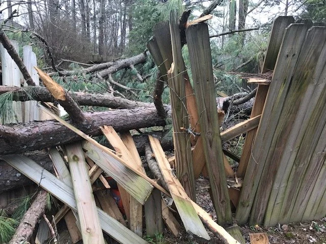 stormdamage1.jpeg