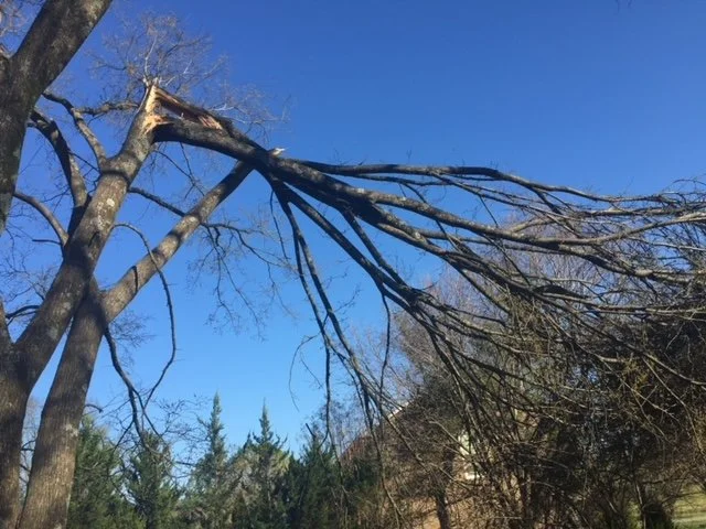 stormdamage2.jpeg