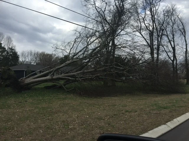 stormdamage5.jpeg