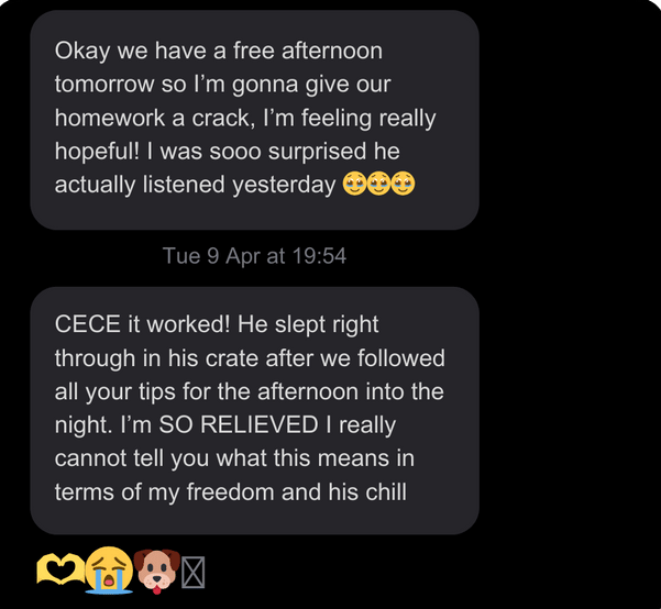 Instagram DM.png