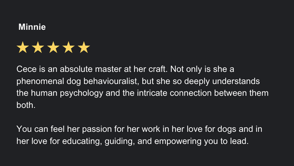 Google Review.png