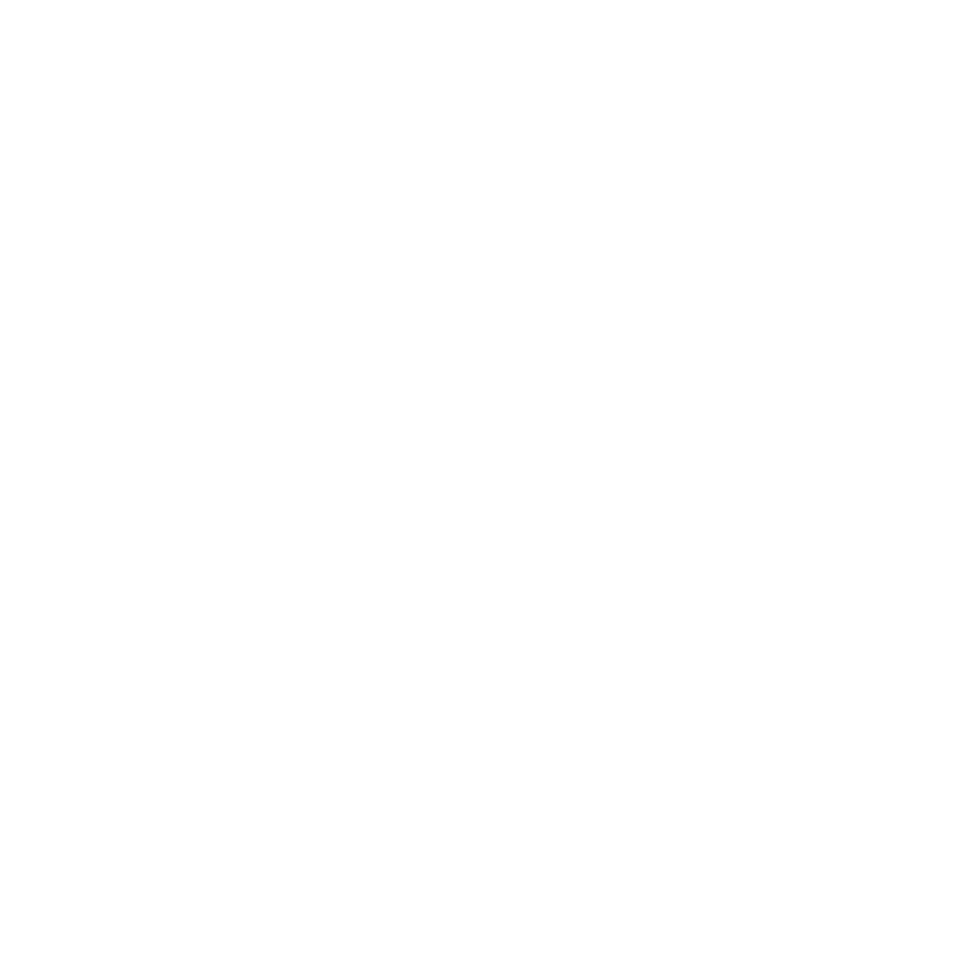 Trendy Pony