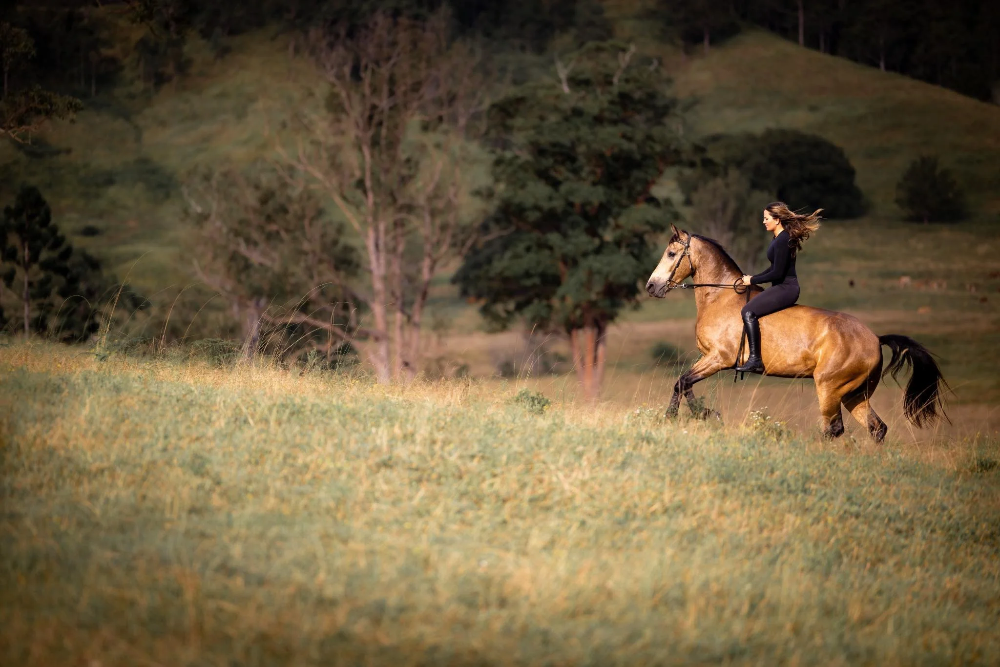 The Horse(wo)manship Mentorship