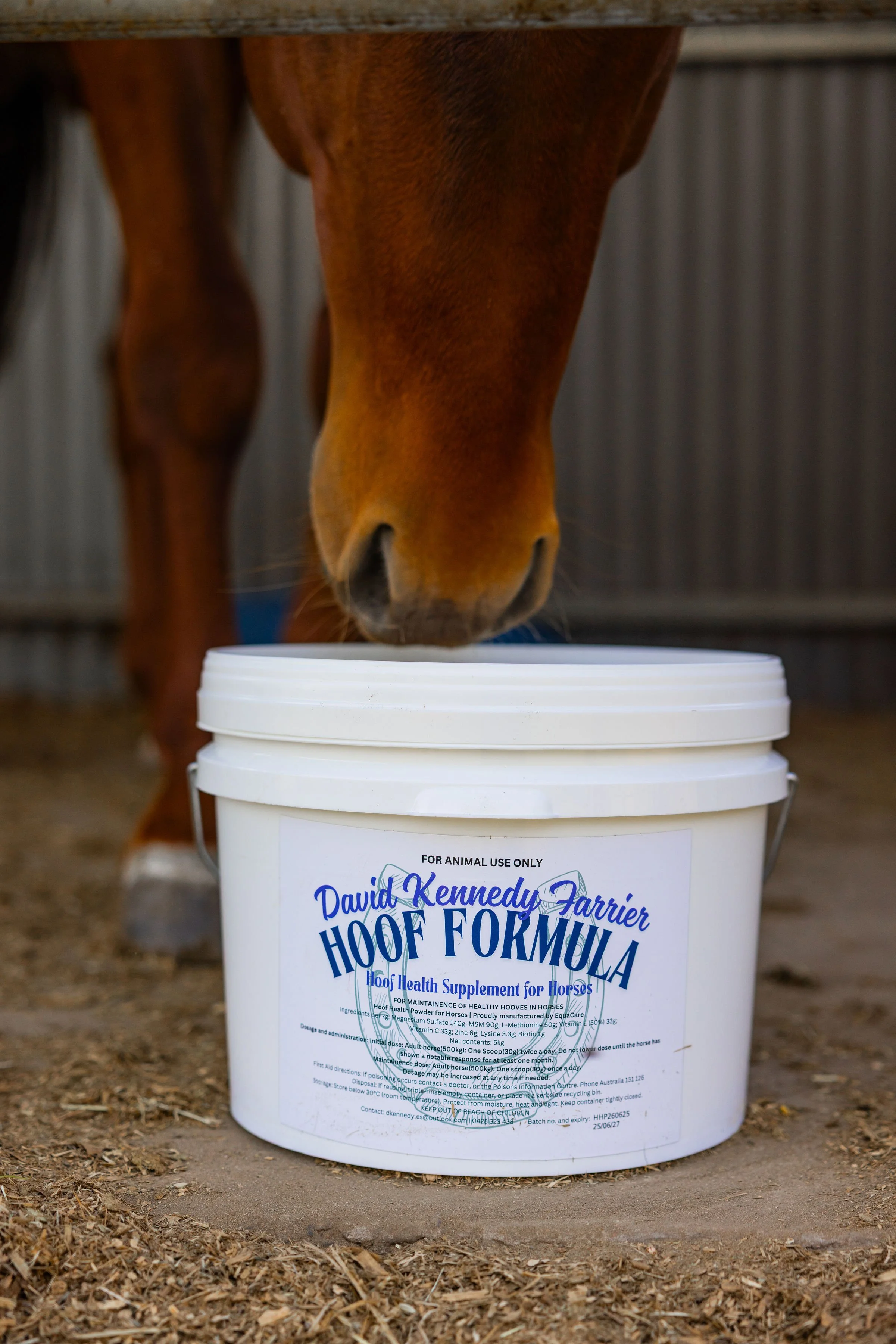 Paddy 5kg Muzzle.jpg