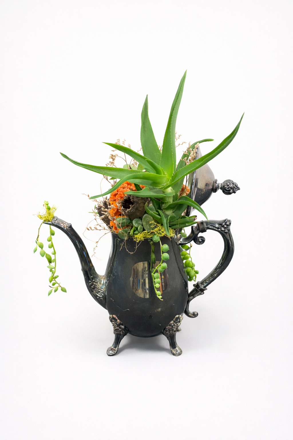 Teapot Succulent Arrangement #2