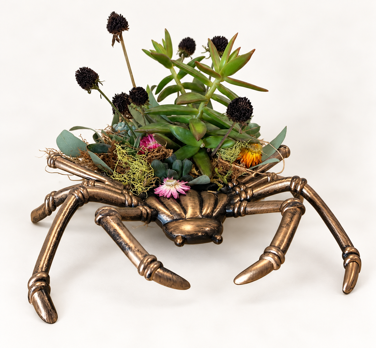 Succulent Spider Planter Arrangement.png