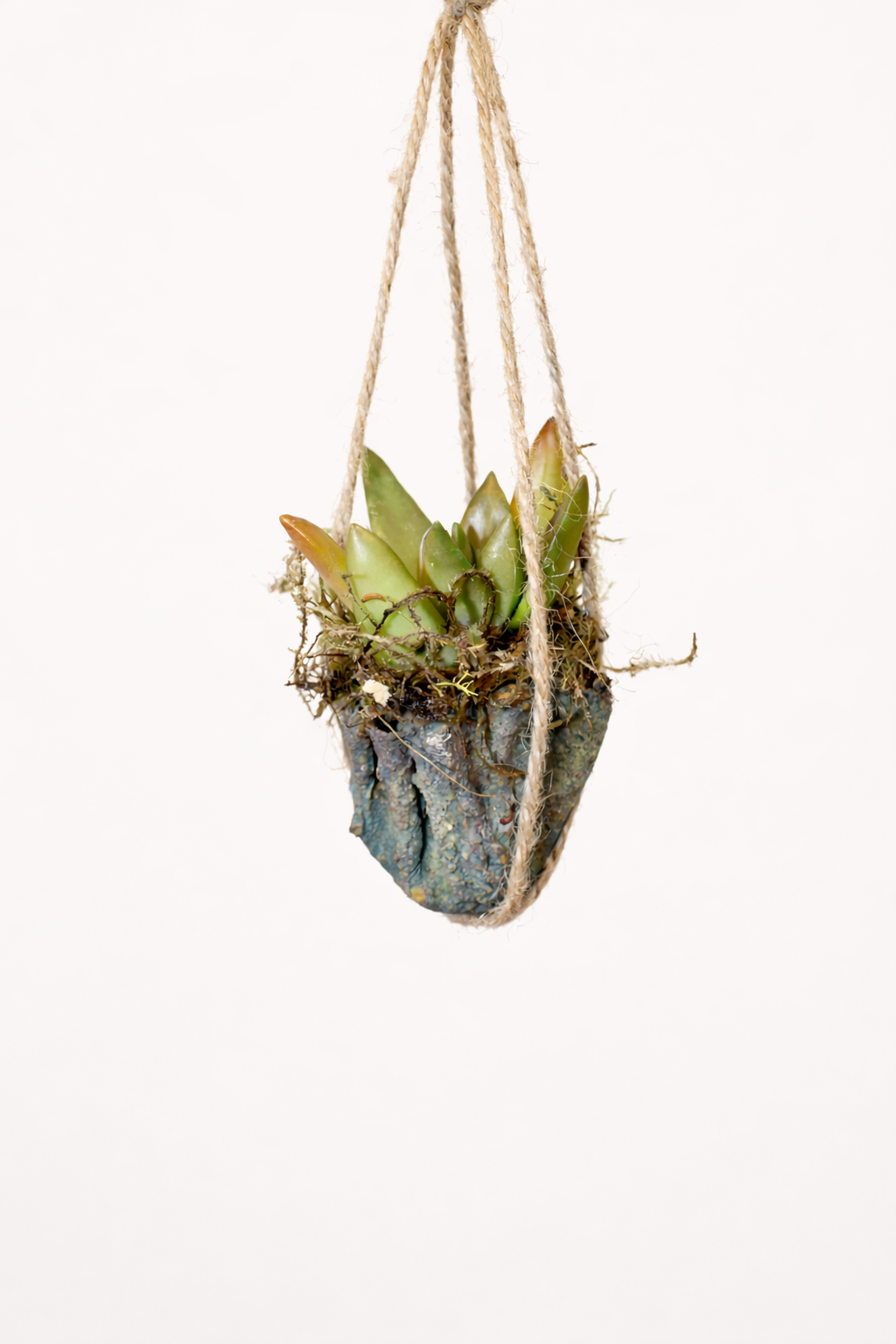 Small Hanging Planter with Succulents