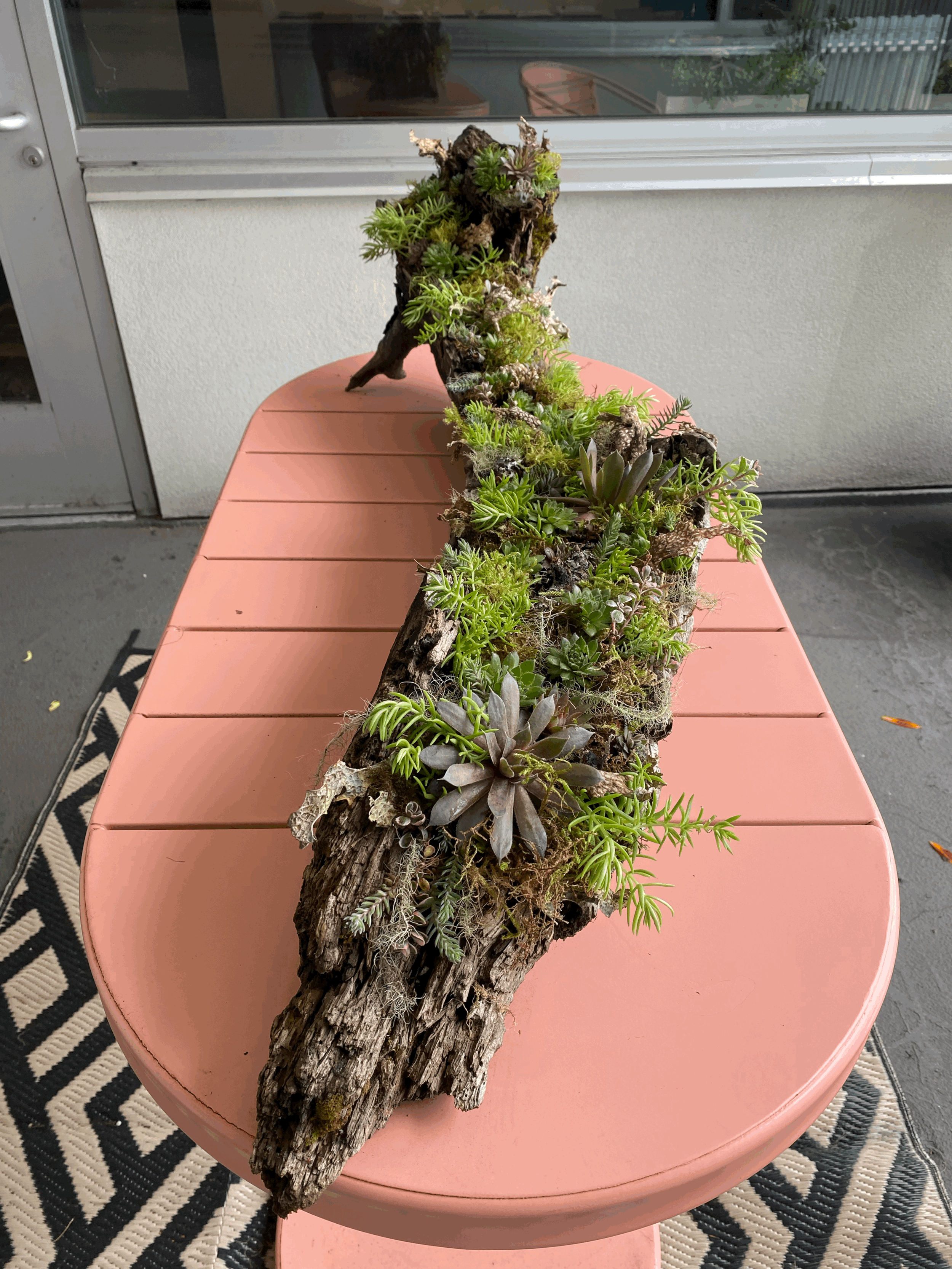 tempImageegPbVb.gif