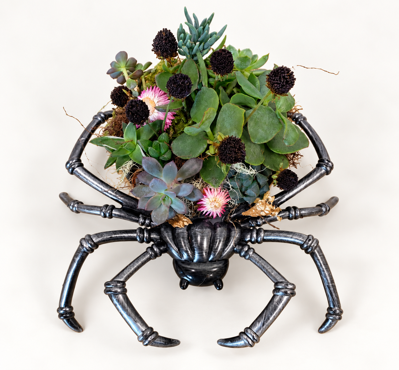 Gothic Spider Succulent Planter.png