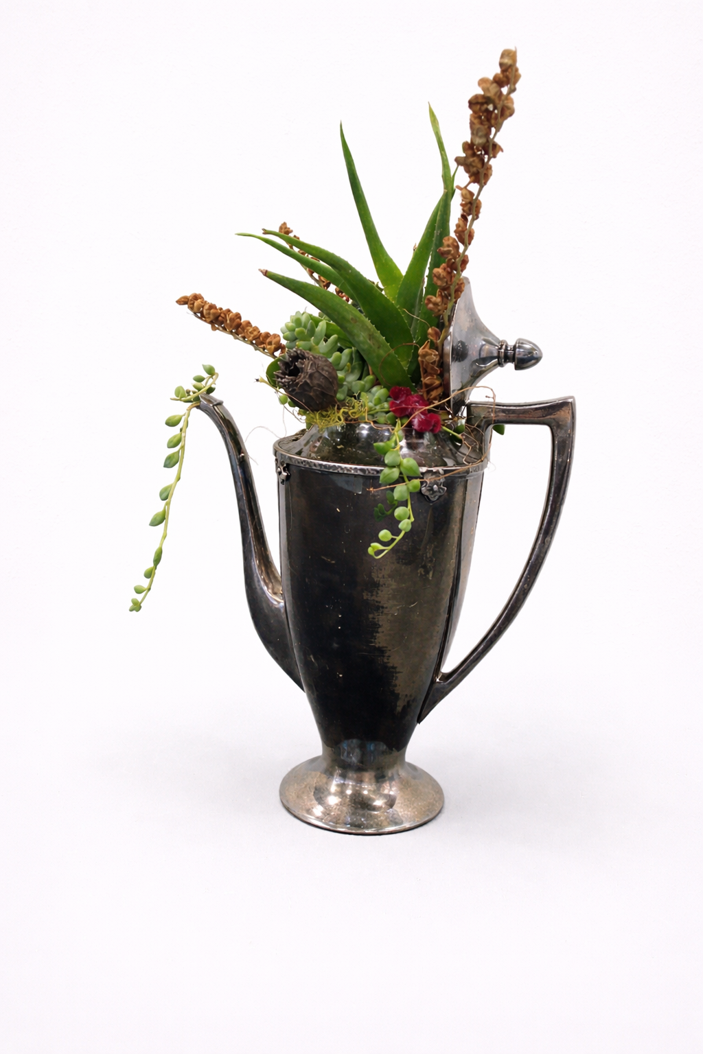 Teapot Succulent Arrangement #3