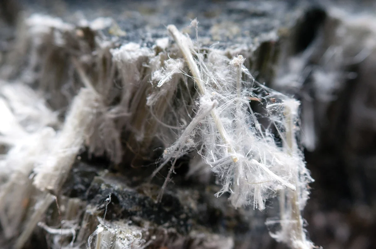 Close-up of a decayed wooden surface with asbestos fibers.