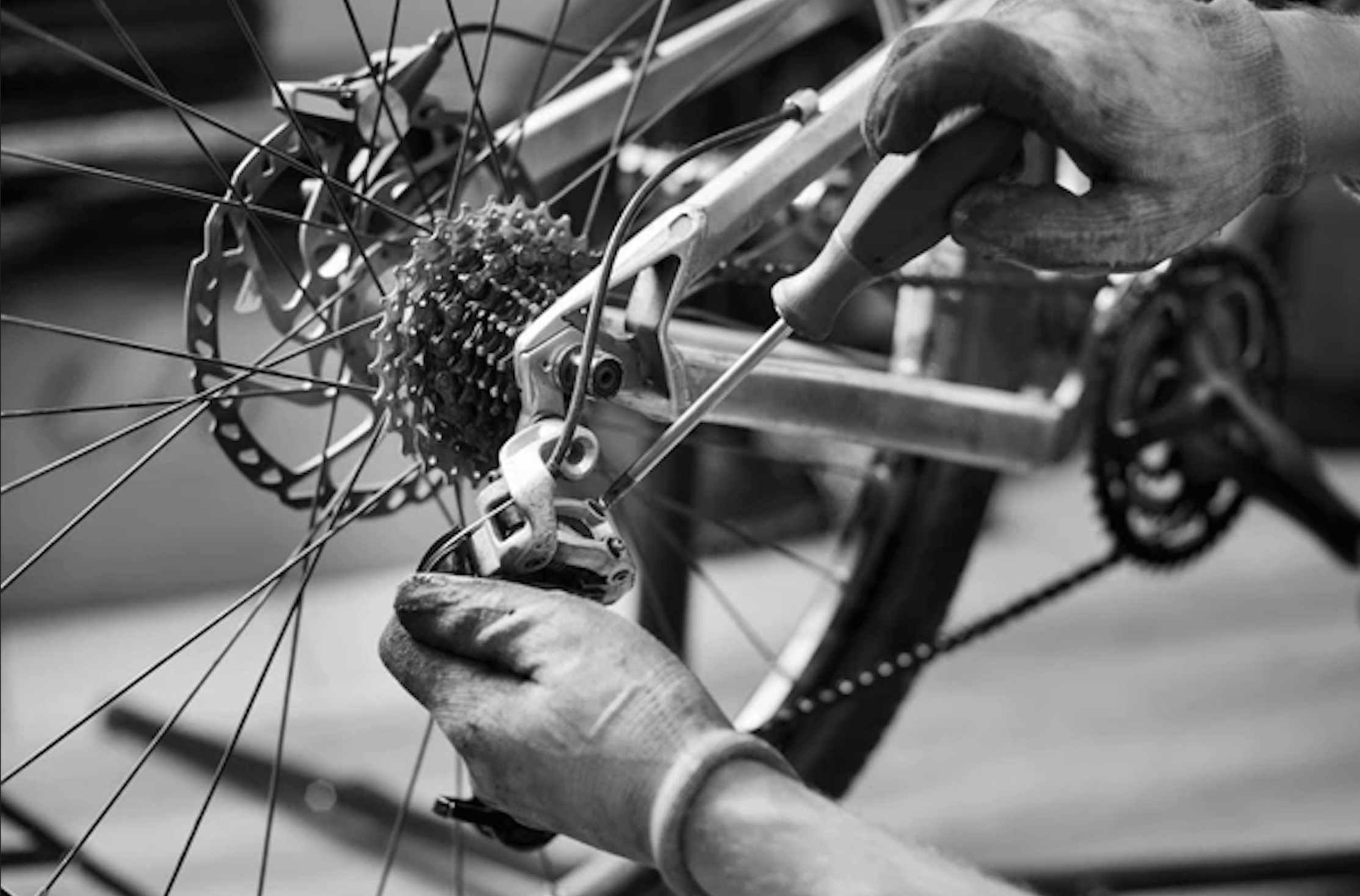 Close-up of a person repairing a bicycle's rear derailleur, with tools in hand, with the rear wheel and gears visible.