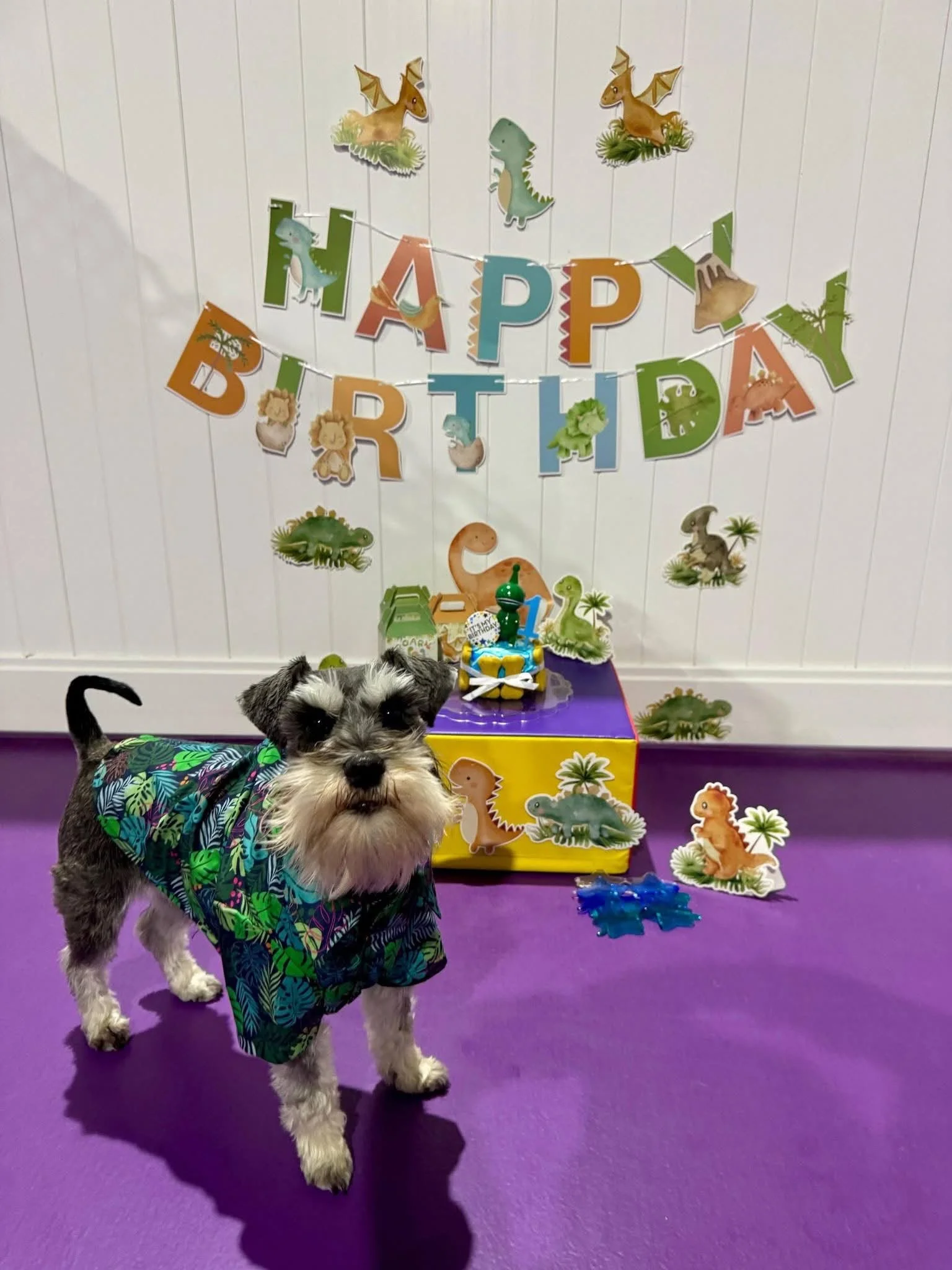 Doggy Party at Westford Co Golden Grove