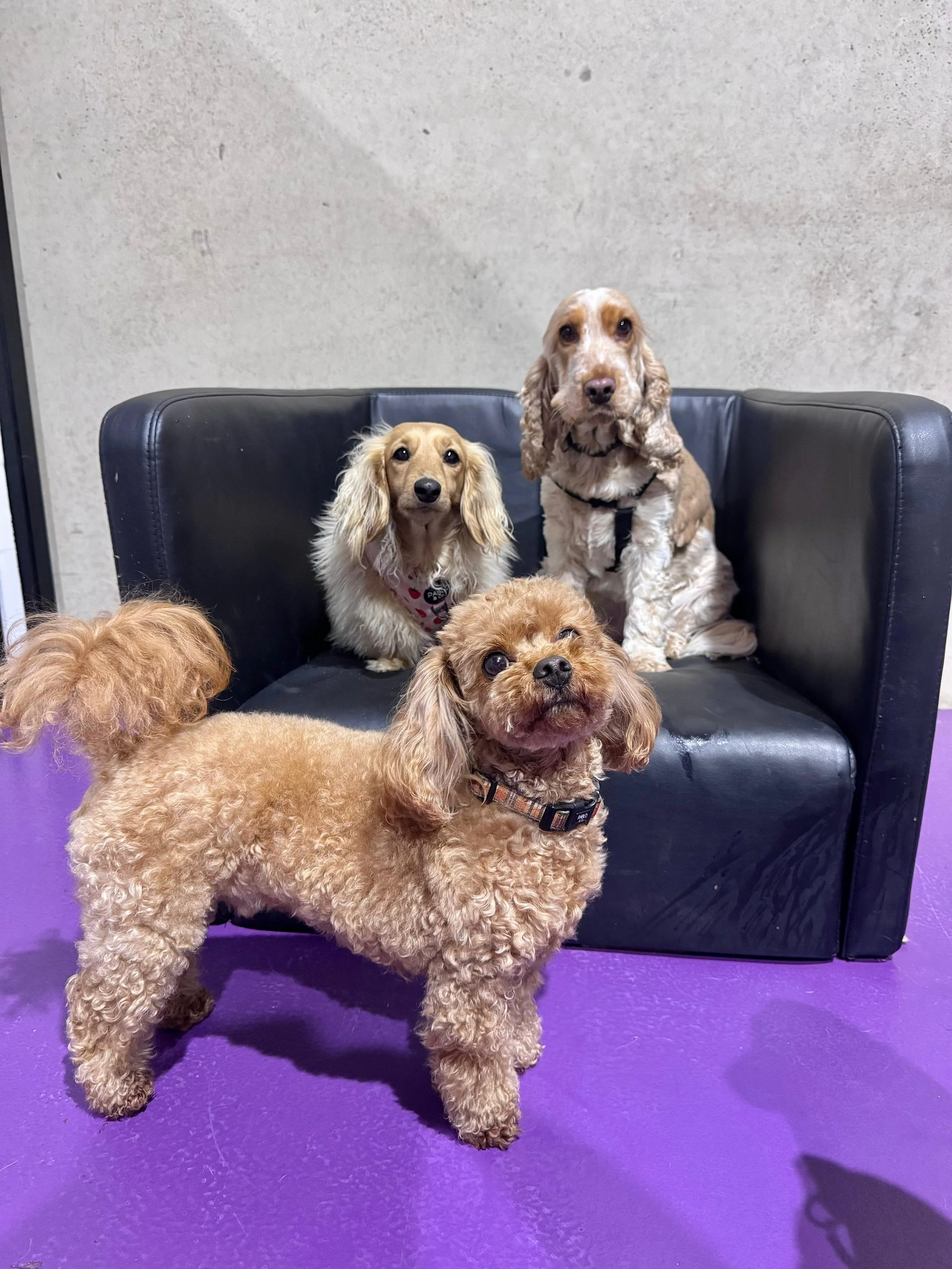 20250926_003654000_iOS 1.jpg