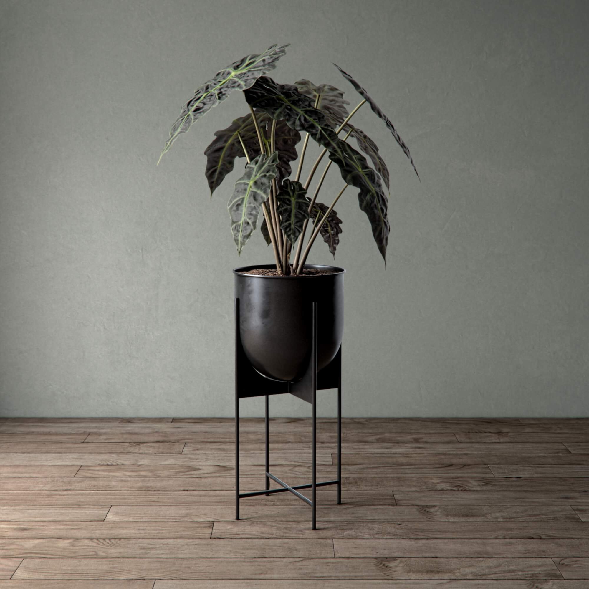 Accessories_Room-Decor_Planters_Elroy.jpg