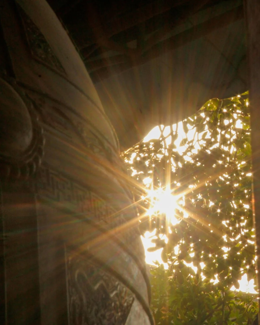 Sunlight shining through a window with wooden frame, partially covered by leafy branches outside.
