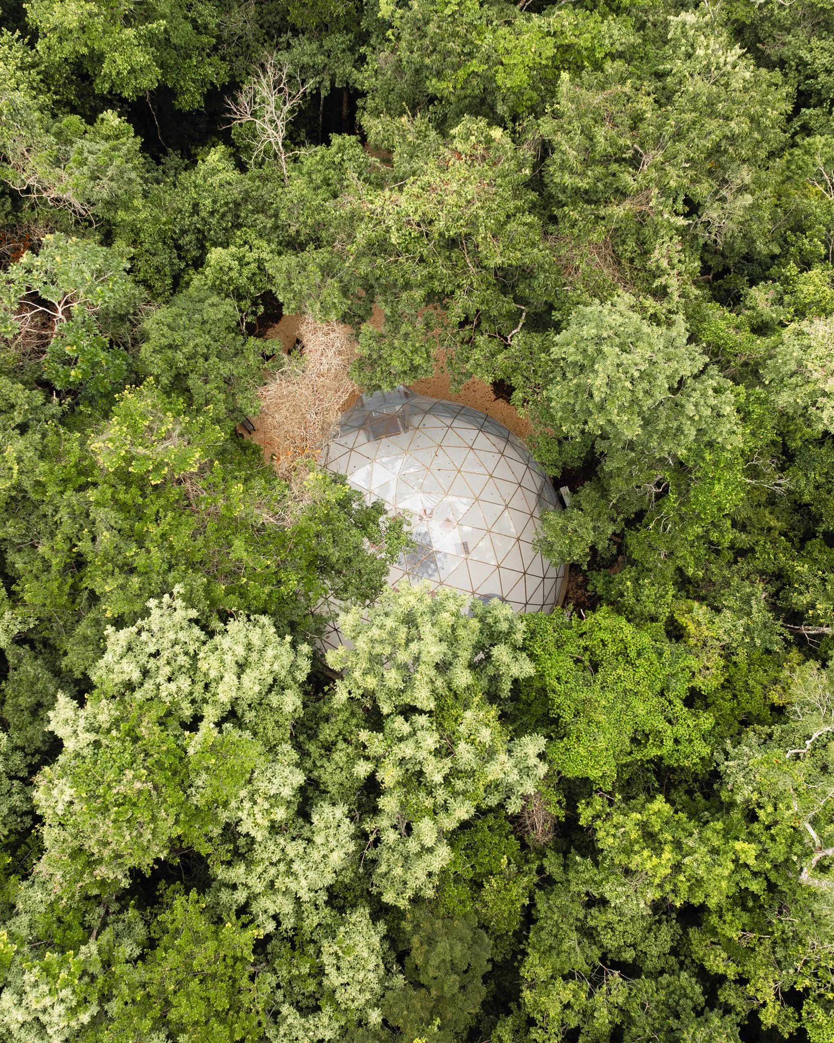 DJI_0243.jpg