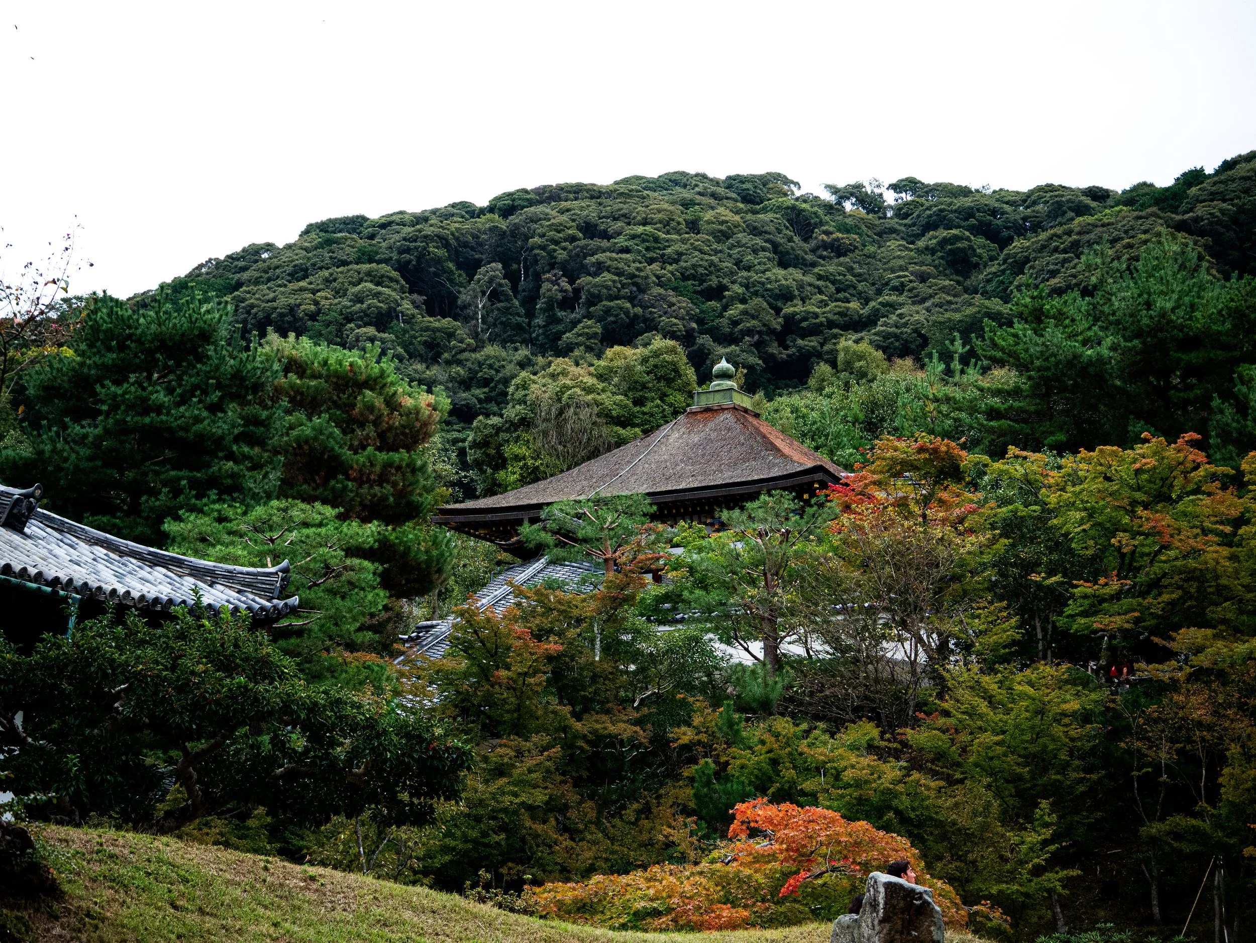 P1210175.jpg