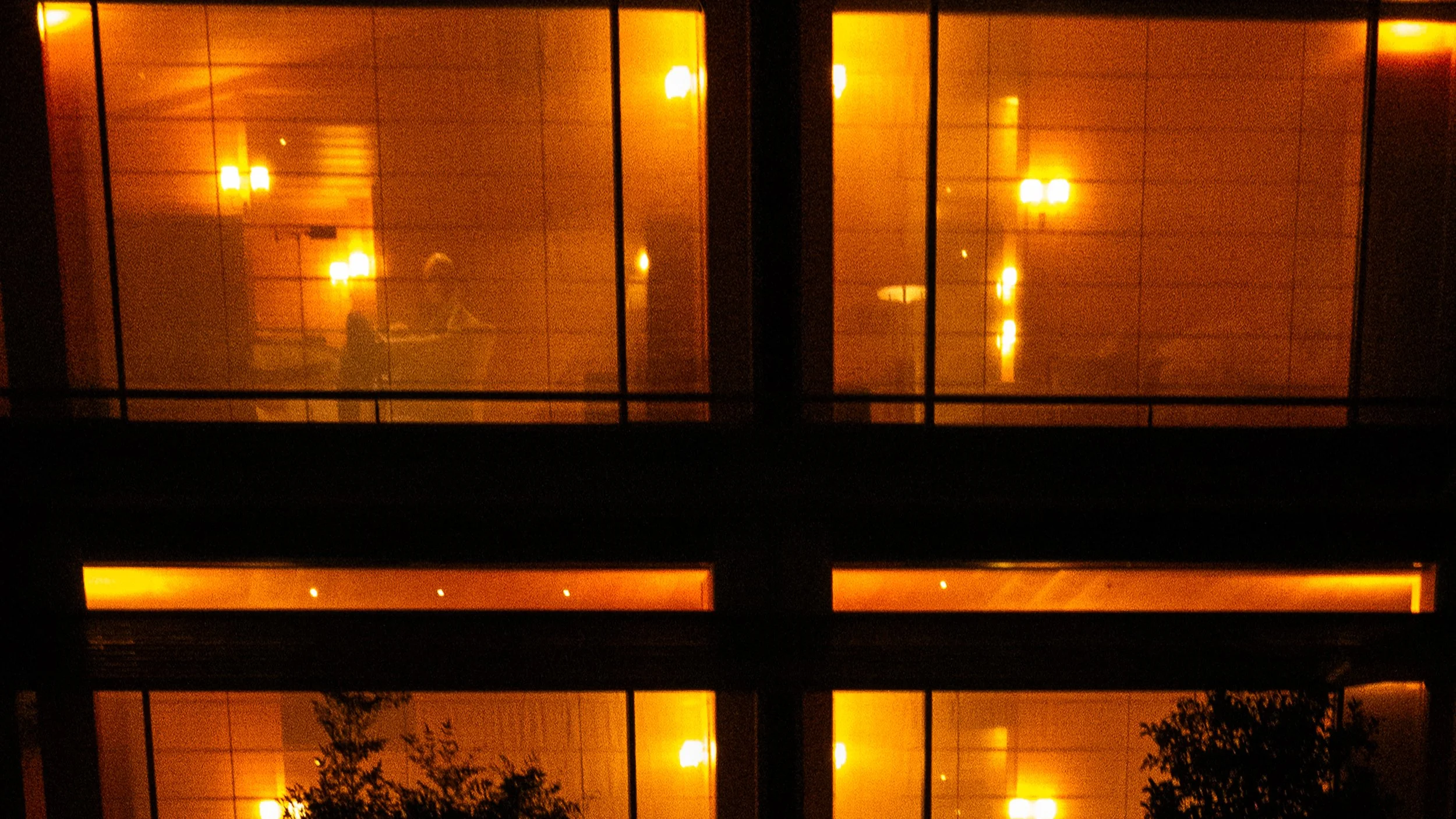 P1210639.jpg