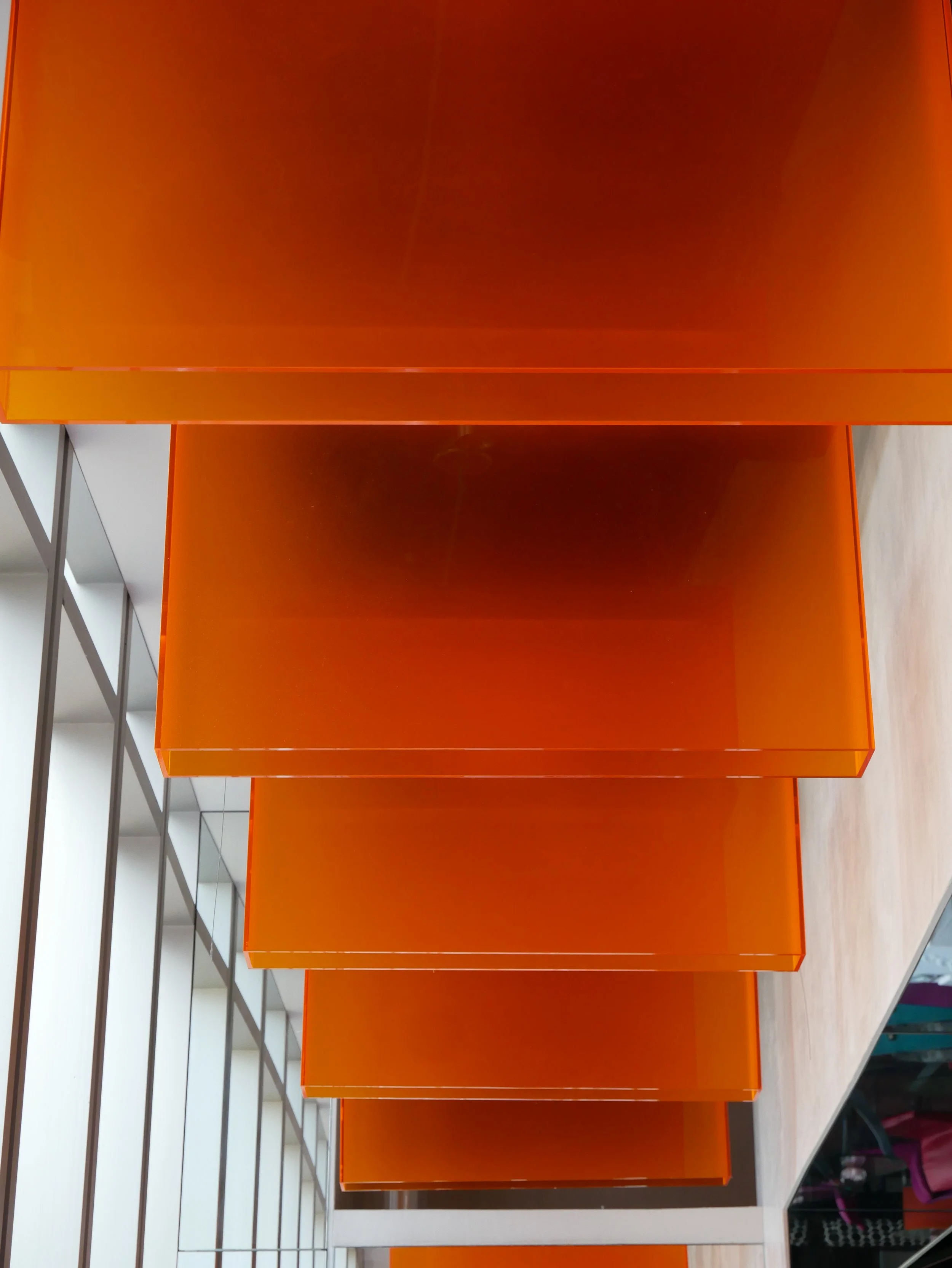 P1080784.JPG