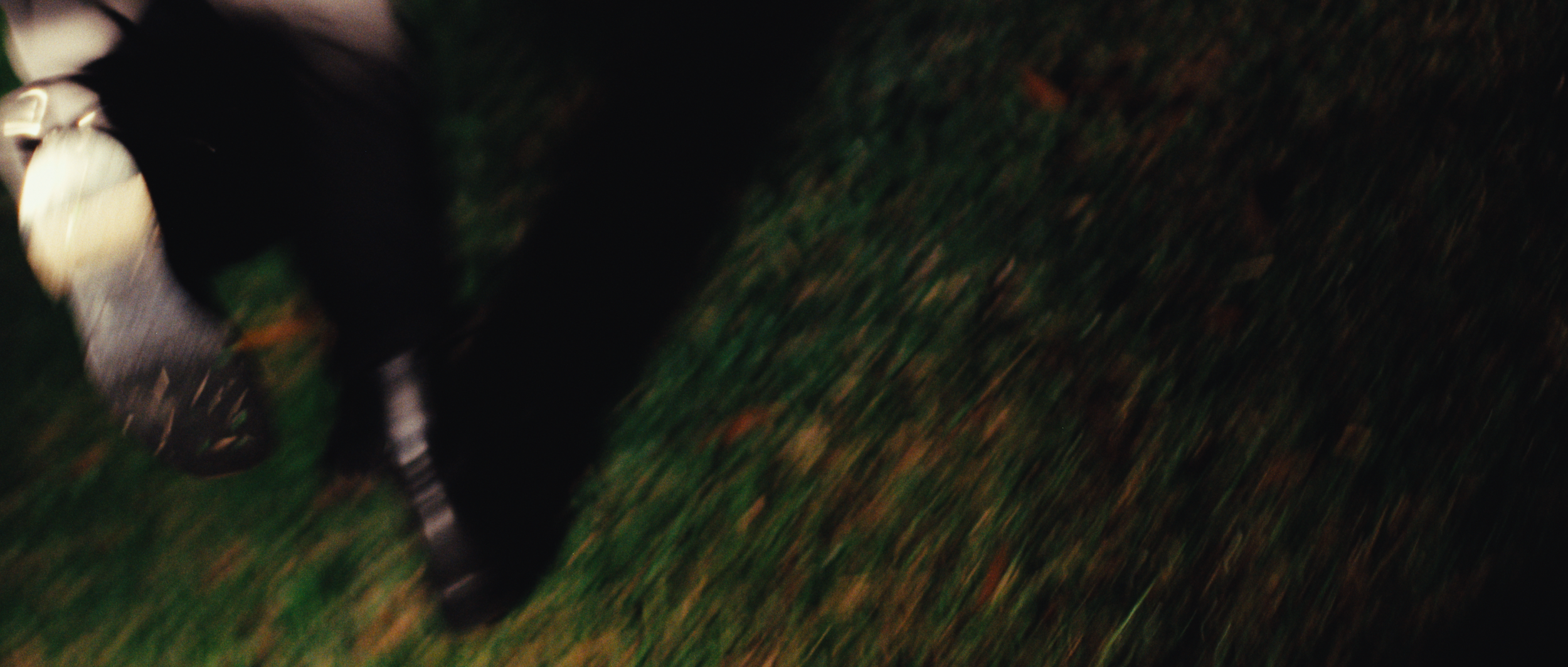 still run_4.20.1.png