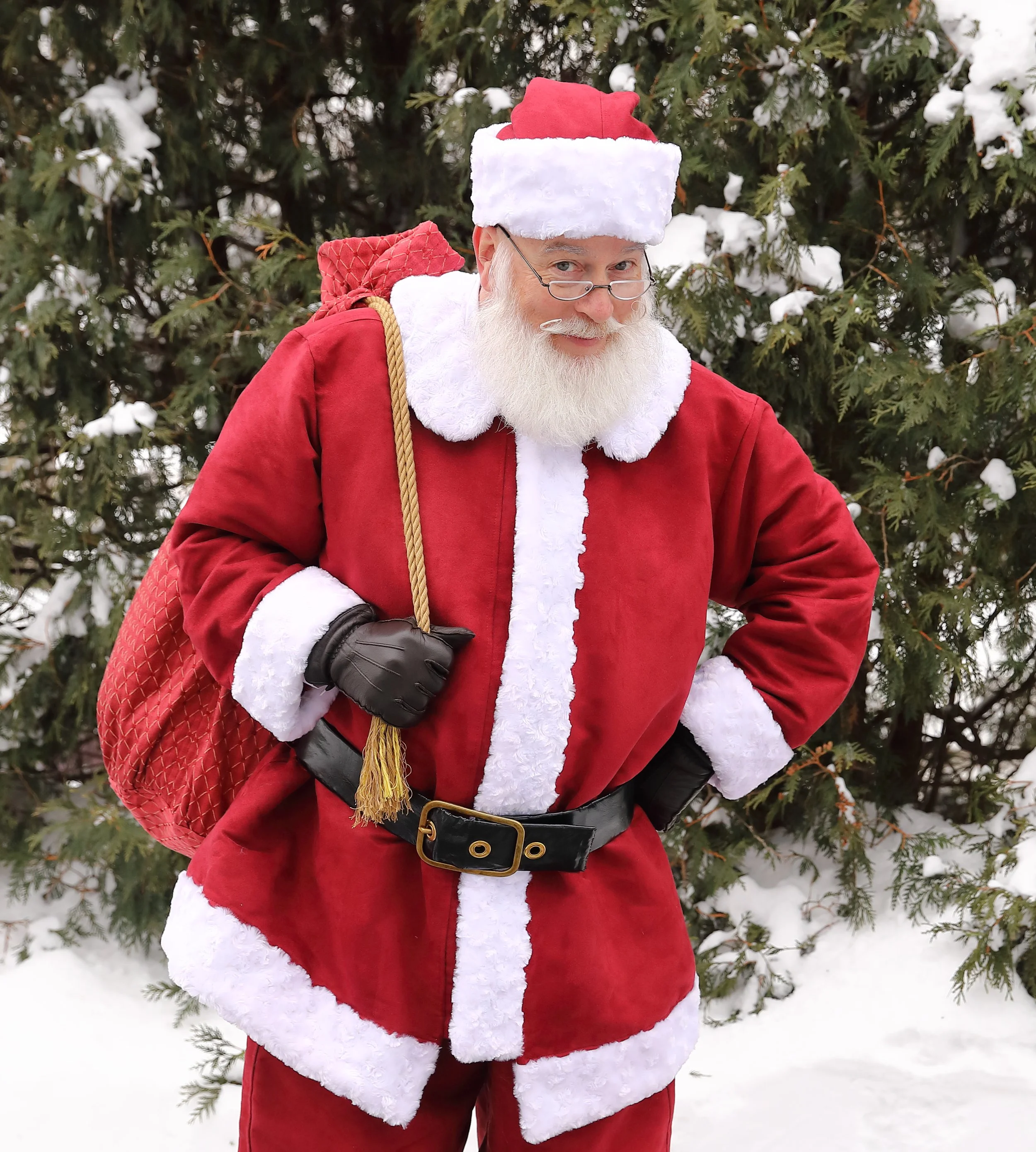 Santa Paul, Minneapolis MN and online visits