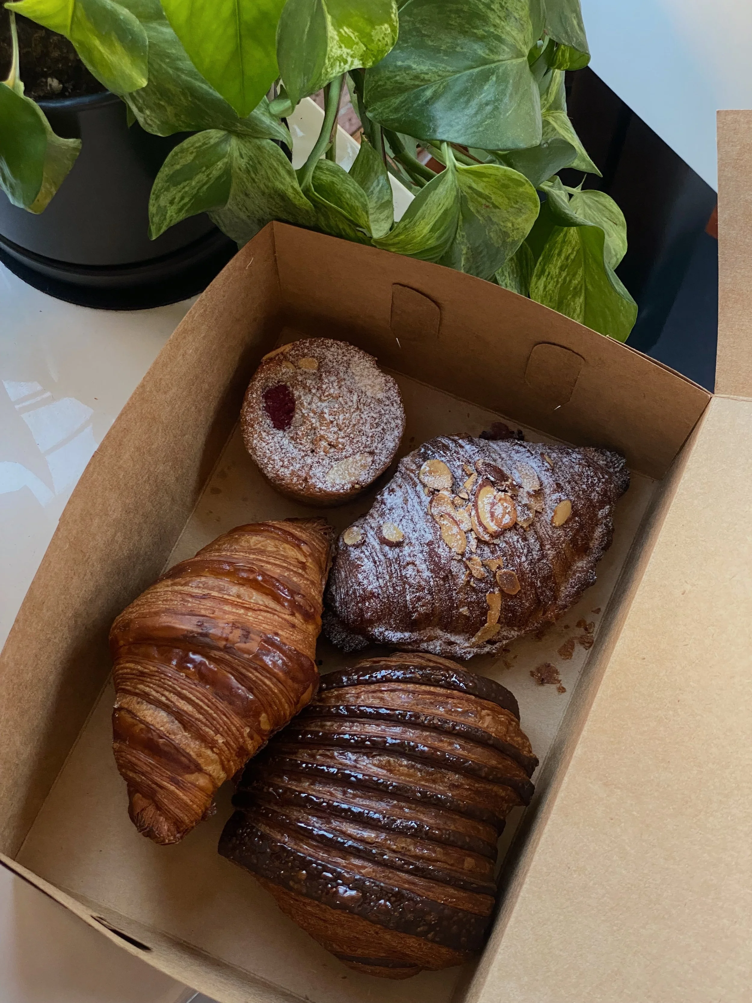 A box of assorted baked goods, including a muffin, a croissant, and two chocolate croissants, with a green plant nearby.