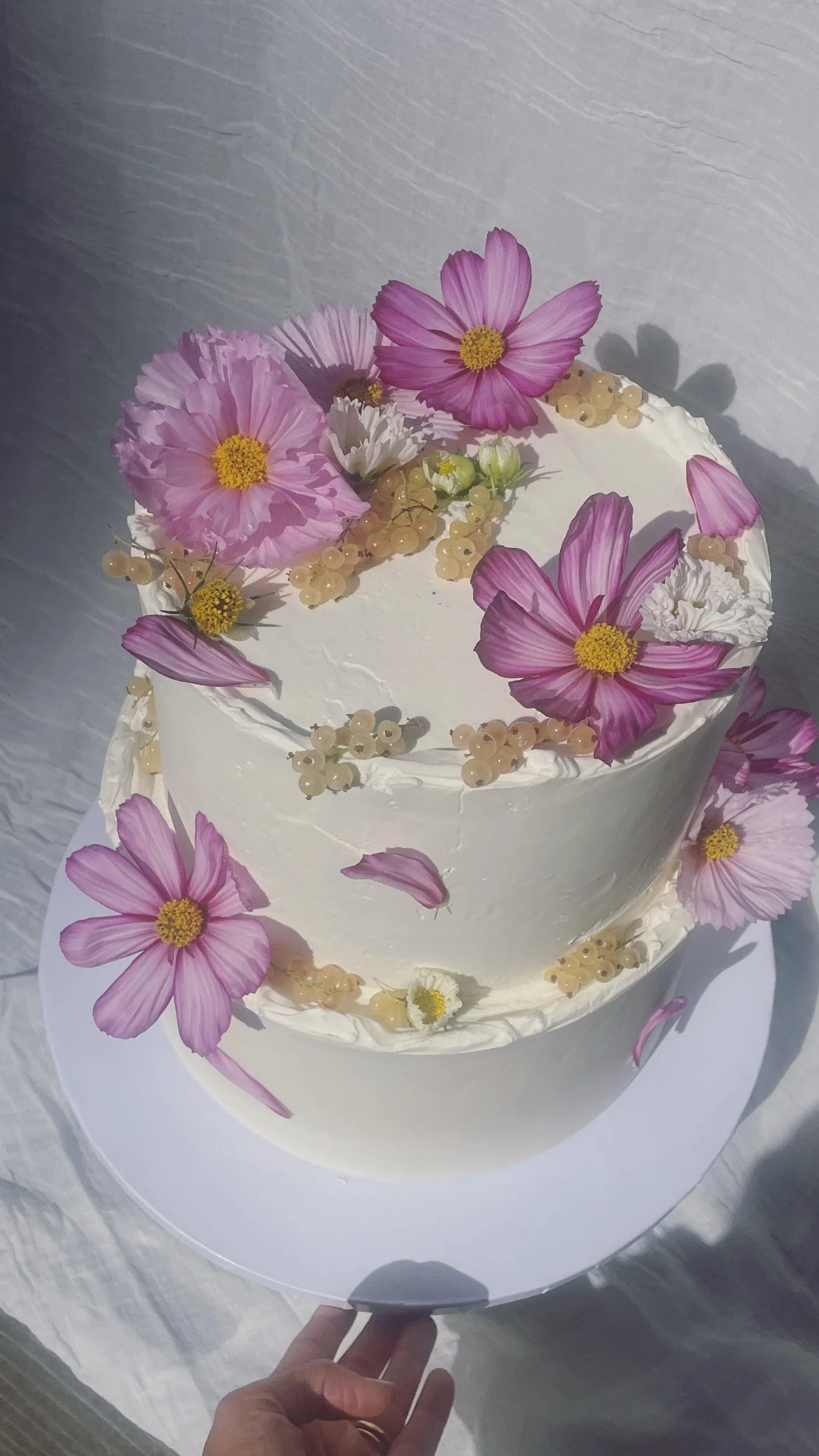 Two-tier white frosted cake decorated with pink and white flowers, white berries, and rose petals.
