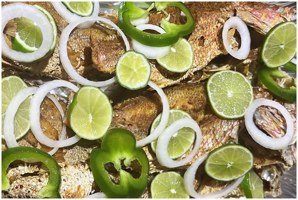 Piska kòrá - Red Snapper - Pargo Rojo