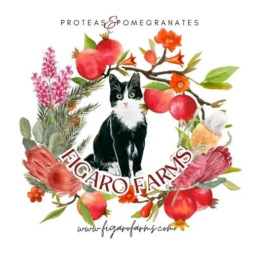 FIGARO FARMS